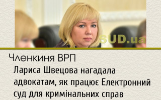 Членкиня ВРП Лариса Швецова нагадала адвокатам, як працює Електронний суд для кримінальних справ