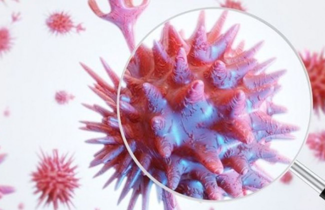 На 15% заразнее, но не более смертоносен: назвали особенность мутации штамма «Дельта»