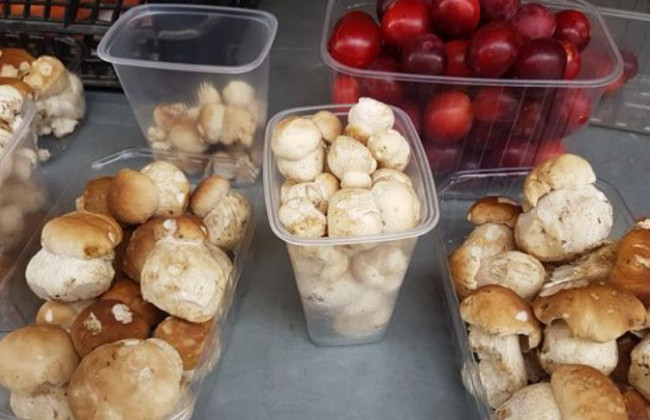 Новые требования к пище, новые штрафы и запрет торговли грибами: Кабмин одобрил законопроект Алексея Любченко