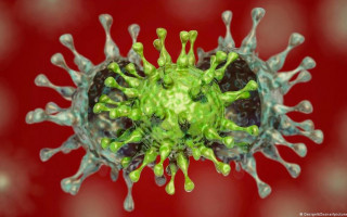 «Распространяется мегабыстро»: врач поражен заразностью штамма «Дельта»