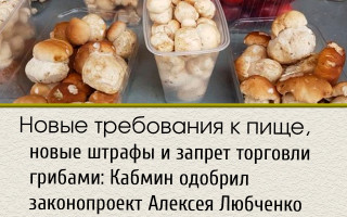 Новые требования к пище, новые штрафы и запрет торговли грибами: Кабмин одобрил законопроект Алексея Любченко