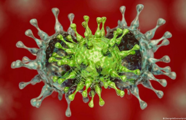 «Распространяется мегабыстро»: врач поражен заразностью штамма «Дельта»