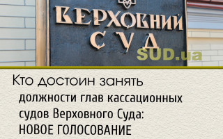 Кто достоин занять должности глав кассационных судов Верховного Суда: НОВОЕ ГОЛОСОВАНИЕ