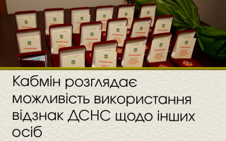 Кабмін розглядає можливість використання відзнак ДСНС щодо інших осіб