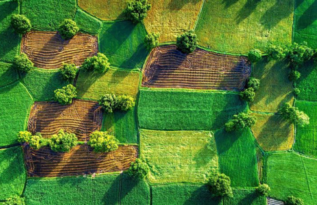 Відкритий ринок землі: які механізми захисту права на землю діють в Україні