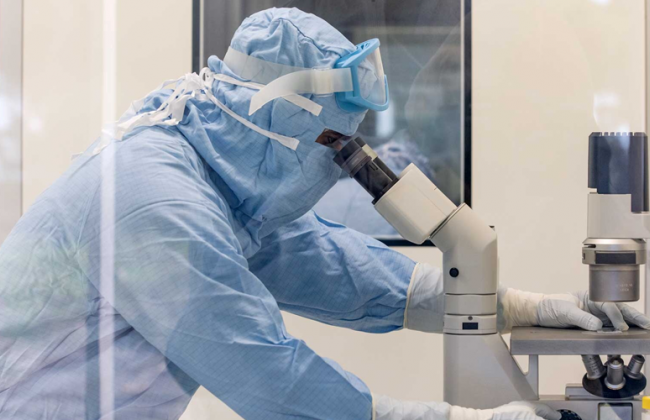 Насколько быстро передается «Дельта»-плюс: ВОЗ следит за новой мутацией