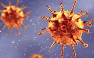 Назвали несколько причин появления мутации штамма «Дельта»