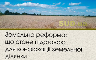 Земельна реформа: що стане підставою для конфіскації земельної ділянки