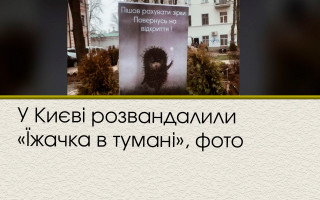 У Києві розвандалили «Їжачка в тумані», фото