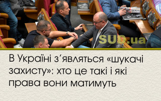 В Україні з’являться «шукачі захисту»: хто це такі і які права вони  матимуть
