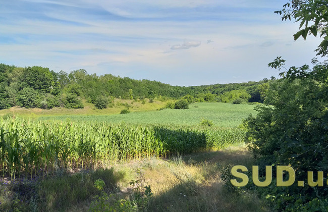 Аграрний комітет розглядає законопроект щодо права на земельний пай