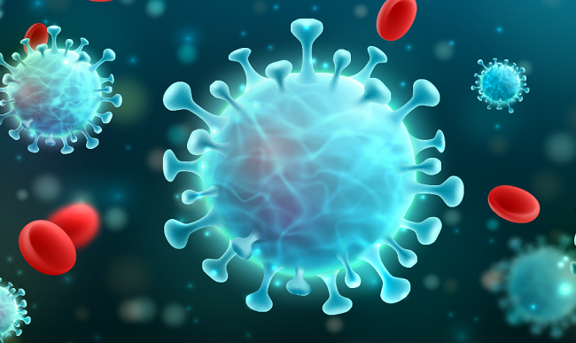 Найдено антитело, способное противостоять разным коронавирусным инфекциям