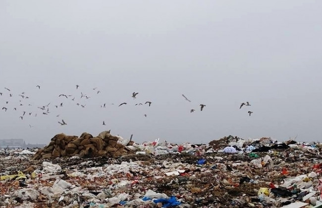 Львівську міськраду зобов’язали виділити землю під новий полігон для сміттєзвалища