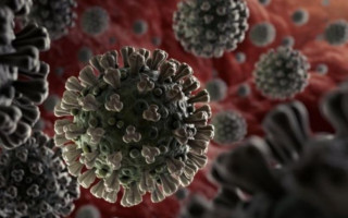 Стало известно, можно ли предотвратить тяжелые осложнения при коронавирусе
