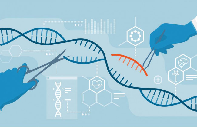 Почему у некоторых здоровых молодых людей развиваются тяжелые COVID-симптомы