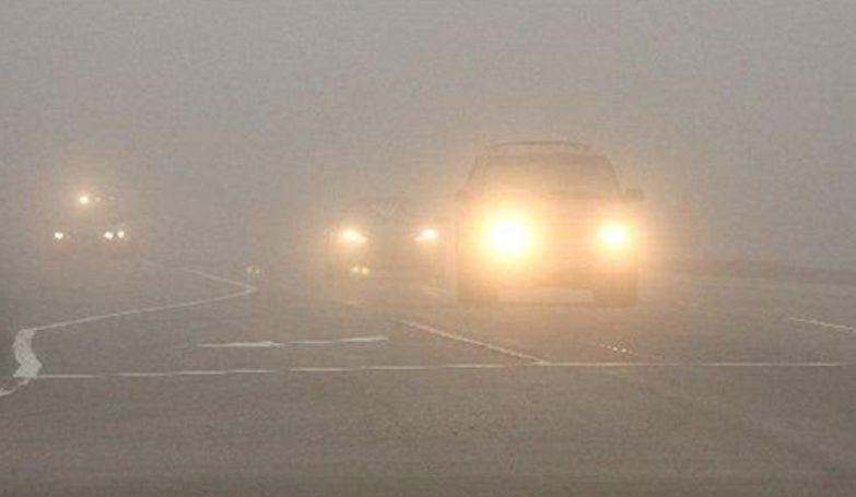 Водителям напомнили, как вести себя на дороге во время тумана