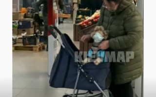 В одном из киевских супермаркетов  женщина надела маску на свою собаку: видео