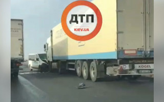 Под Киевом произошло серьезное ДТП с пострадавшими: видео