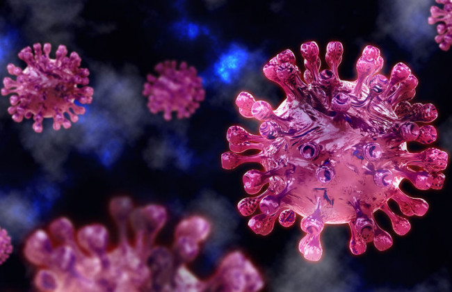 Названы сроки окончания пандемии коронавируса