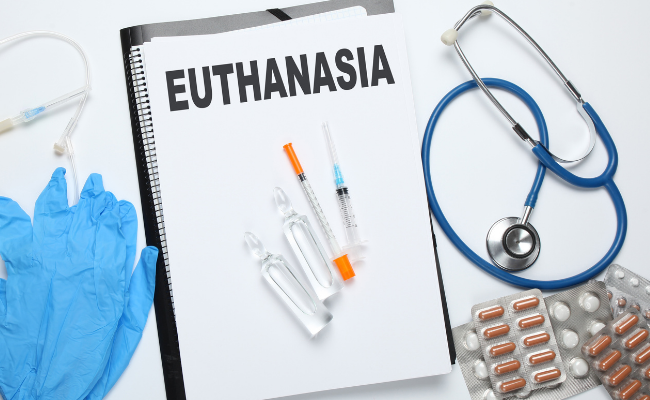Право на смерть: в Португалии разрешат эвтаназию