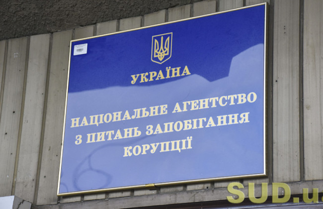 Рада судей Украины: Судьи должны рассматривать дела, где стороной является НАПК, даже если проводится проверка их деклараций