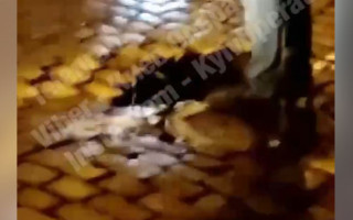 В Киеве на улице Владимирской на дороге открылся «портал в подземелье», видео