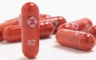 ЕС ведет переговоры о покупке COVID-таблеток от Pfizer и Merck