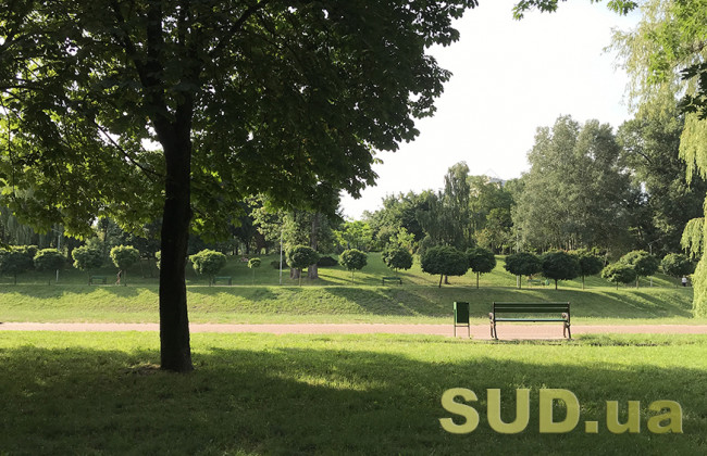 Проект Зелена країна: в Україні висаджено вже понад 35 млн дерев