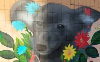 У Києві з’явився новий яскравий мурал з собакою