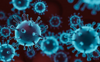 Новое опасение: чем грозит коронавирус