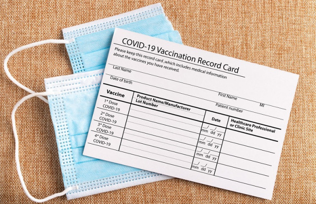 Большие штрафы и лишение свободы: как наказывают в других странах за подделку COVID-сертификата