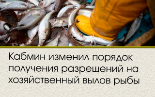 Кабмин изменил порядок получения разрешений на хозяйственный вылов рыбы