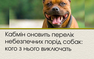 Кабмін оновить перелік небезпечних порід собак: кого з нього виключать