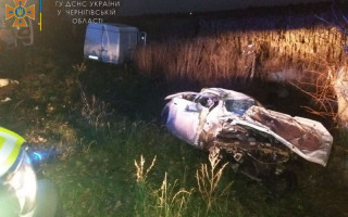 Смертельна ДТП на Чернігівщині: жінку затисло металевими конструкціями