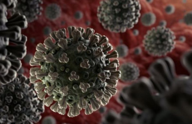 Стало известно, сколько держится природный иммунитет от коронавируса