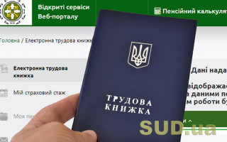 Электронная трудовая книжка: как она выглядит и где ее найти