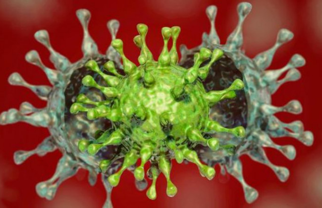 Мутация Дельта-плюс: что о ней известно и чем она опасна