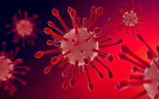 Симптомы и заразность: 5 важных вещей, которые нужно знать о штамме «Дельта»