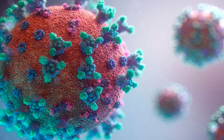 COVID-19 на первых стадиях: что делать