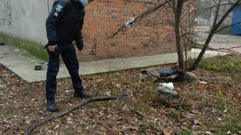 В Шостке возле мусорных баков обнаружили мертвого питона: фото экзотической находки