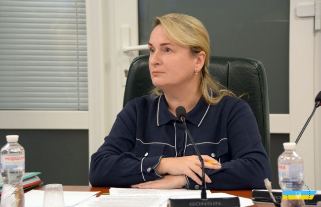 Необхідно забезпечити збільшення фінансового стимулювання працівників апаратів місцевих судів — Інна Плахтій