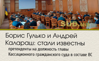 Борис Гулько и Андрей Калараш: стали известны претенденты на должность главы Кассационного гражданского суда в составе ВС