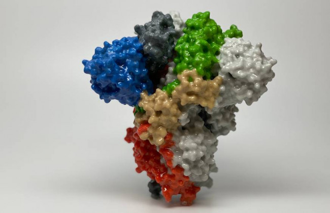 В Норвегии возникла новая версия «Дельта»-вируса