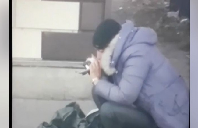 Ела мертвого голубя вместе с перьями: в Полтаве произошел жуткий инцидент, видео
