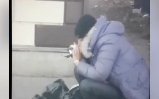 Ела мертвого голубя вместе с перьями: в Полтаве произошел жуткий инцидент, видео