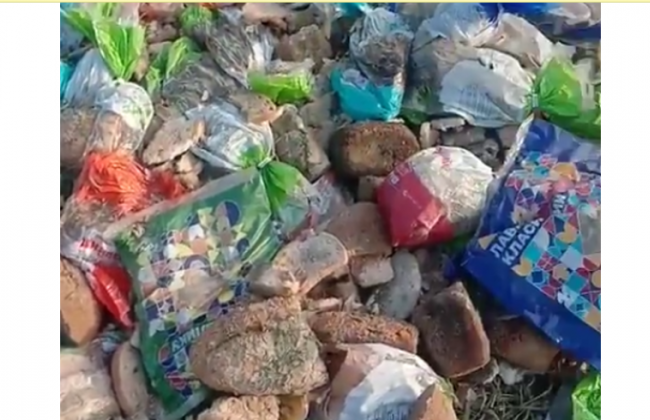 В Луцке выбросили сотни буханок хлеба: украинцев возмутило видео с «хлебной свалки»