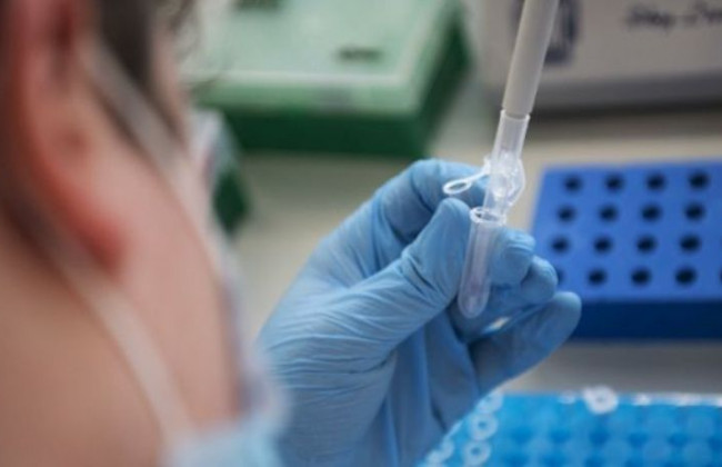 Способно убить штамм «Дельта»: обнаружили уникальное антитело