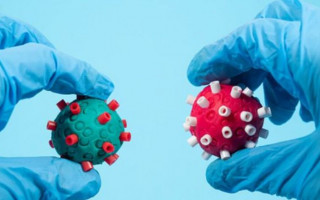 Почему штамм «Дельта» опаснее обычного коронавируса: ответ медиков