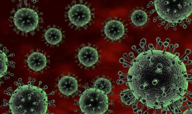 Стало известно, у кого может быть больше антител против коронавируса