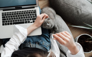 Работать из офиса можно только один день в неделю: Бельгия усилила карантин